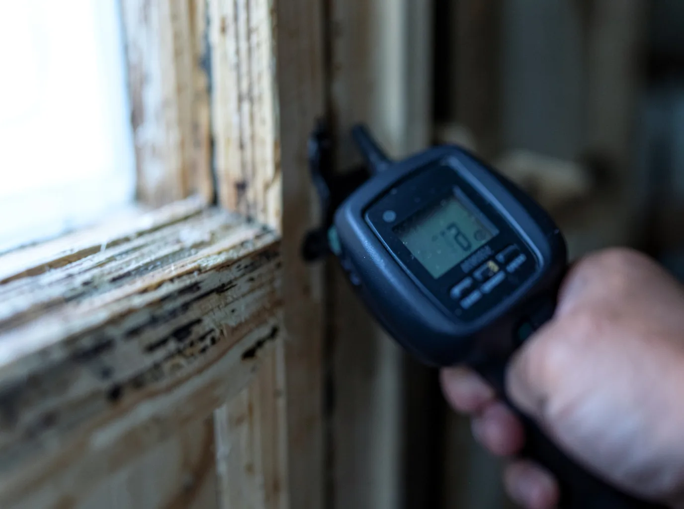 Commercial Water Damage Restoration in Chuckey, TN